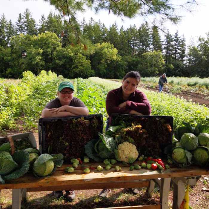 Fresh veggies from the community garden.