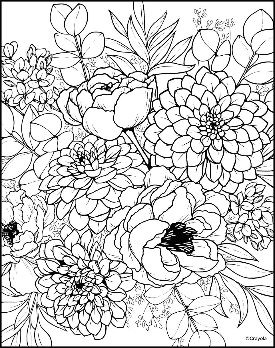 Dalias y peonías