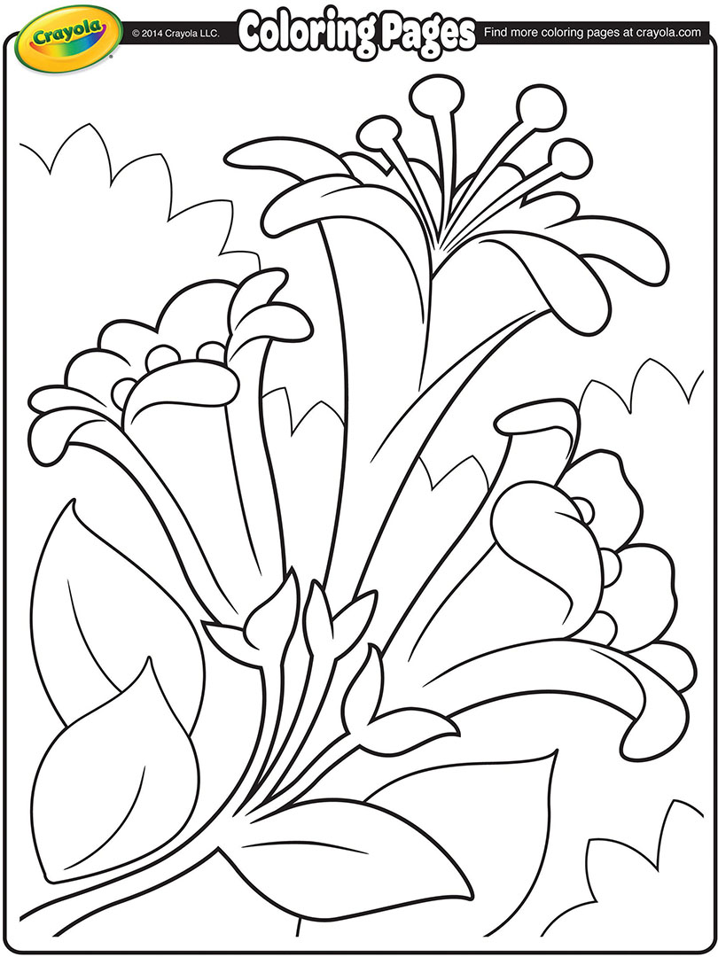 Easter Lilies II