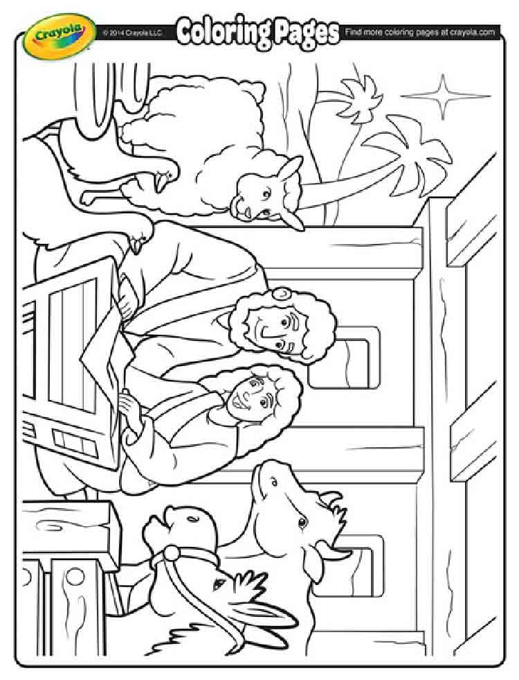 Nativity Manger
