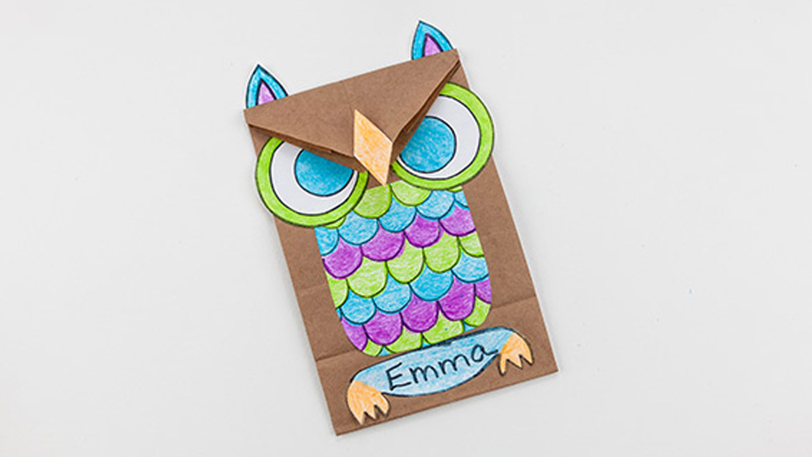 Owl Pranzo al sacco