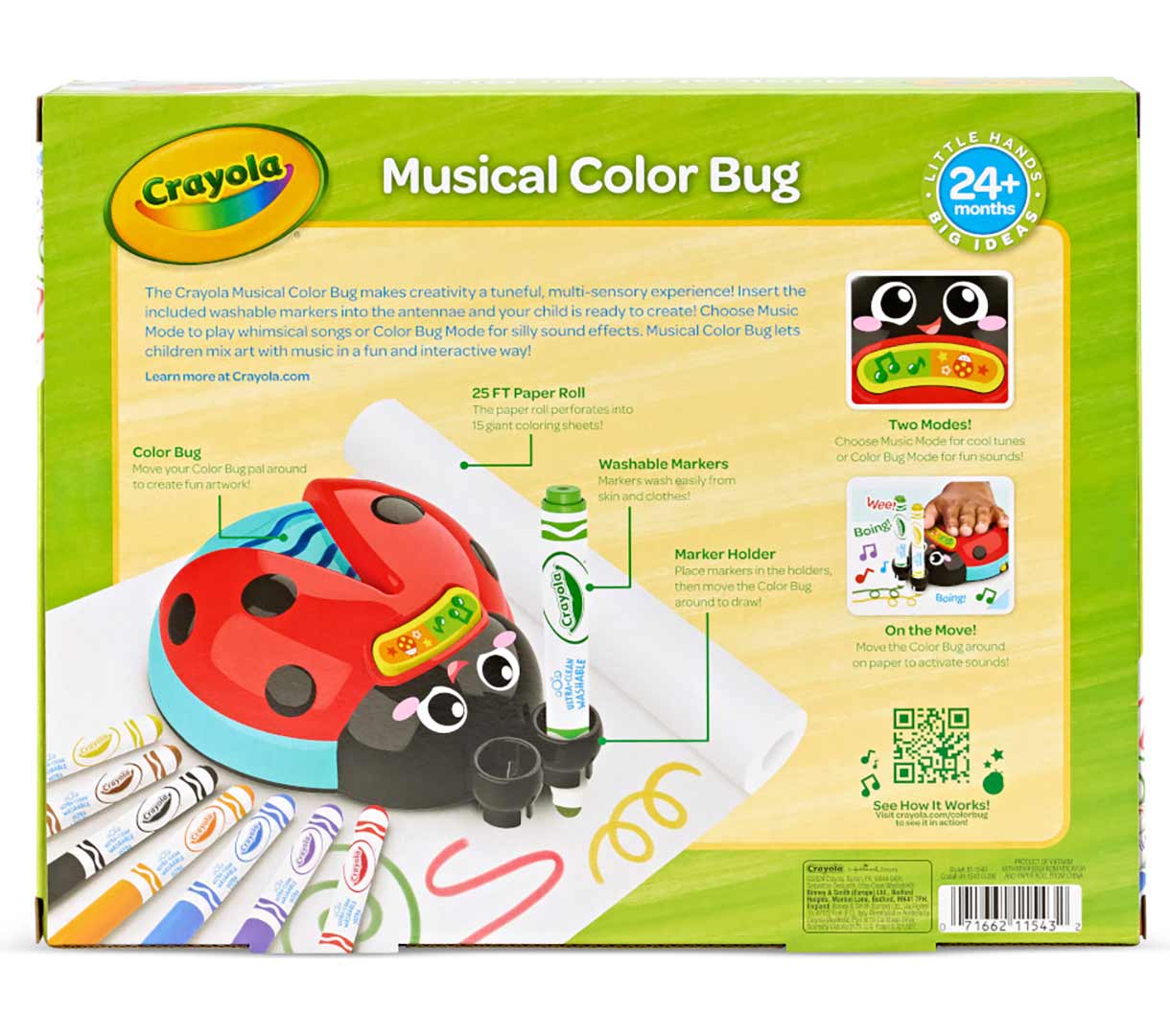 Musical color bug back view